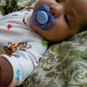 Meet your Posher, Bee